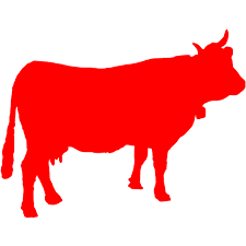 Cattle